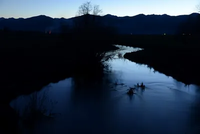 DSC_1101 (Large).JPG